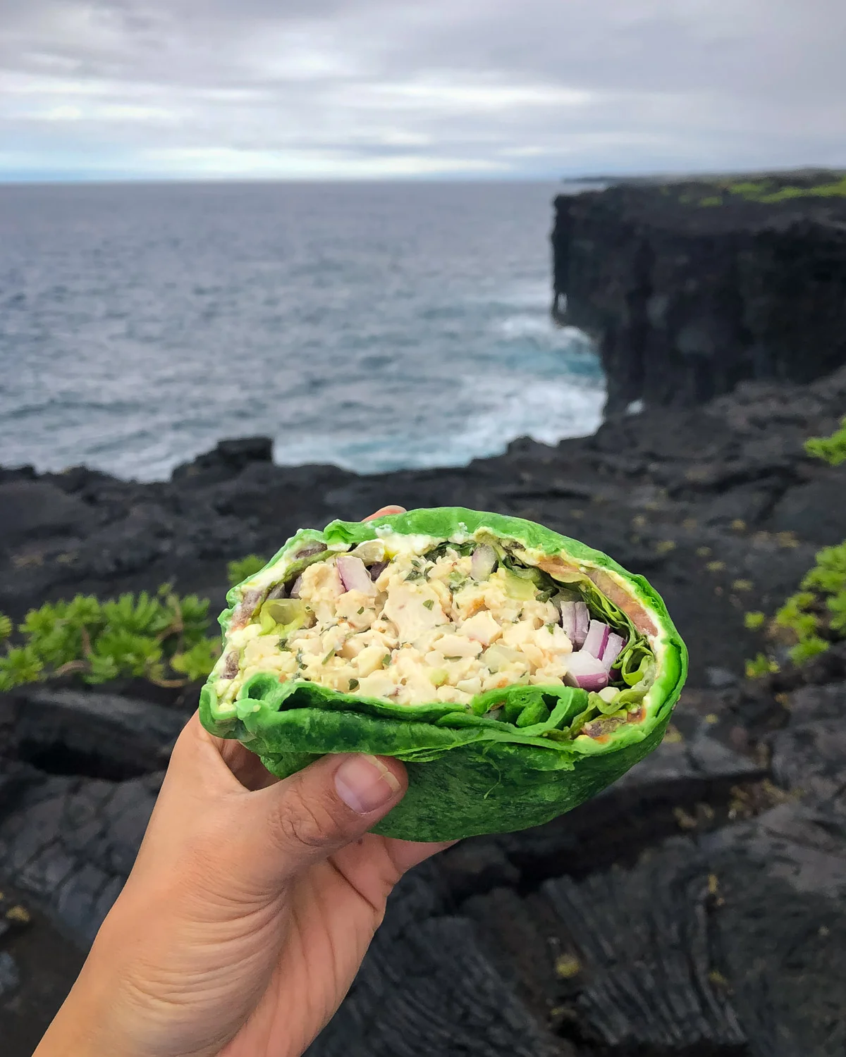 Chicken Macadamia Nut Sandwich from Just Cruisin Coffee