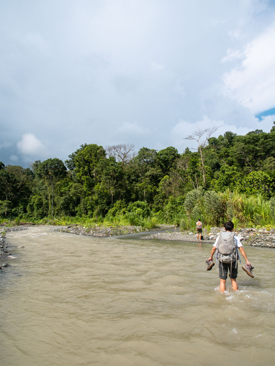 best way to see corcovado jungle