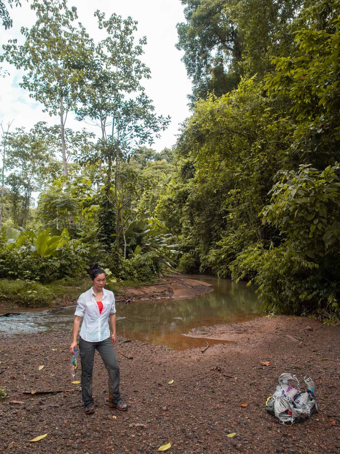 osa wild's three day jungle trek included a lunch