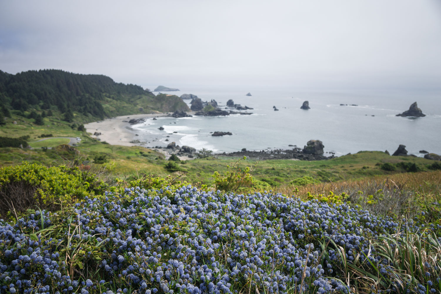 cape-ferrelo-samuel-boardman-09632.jpg