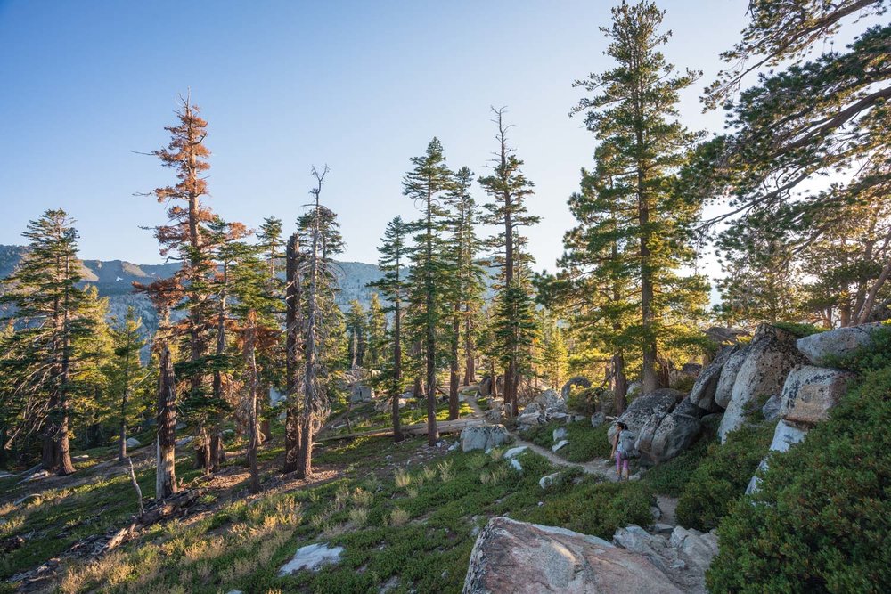 Overnight backpacking trips northern california