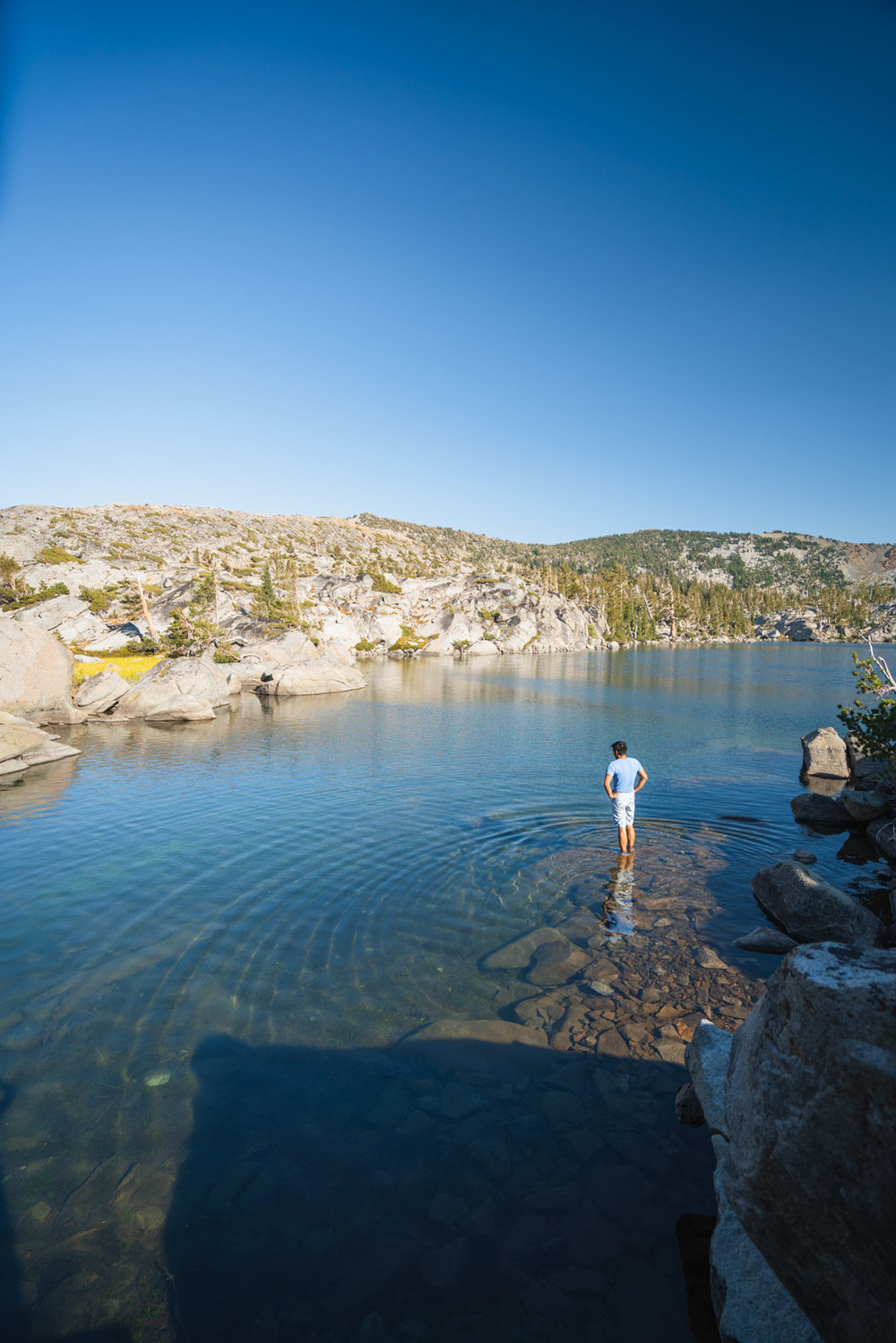 Wading in the clear water