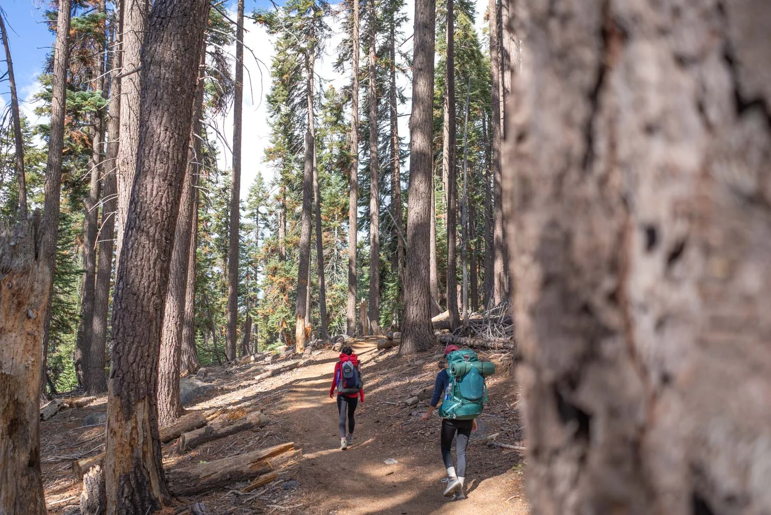 Backpacking the Lakes Trail Overnight to Pear Lake — Sequoia National ...