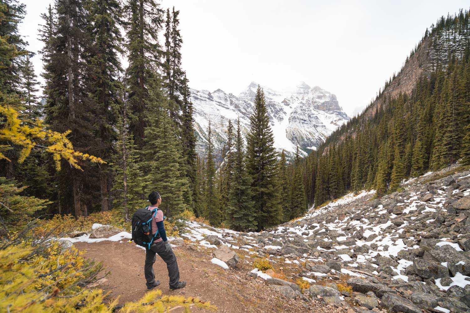 Looking towards the valley of the Plain of 6 Glaciers