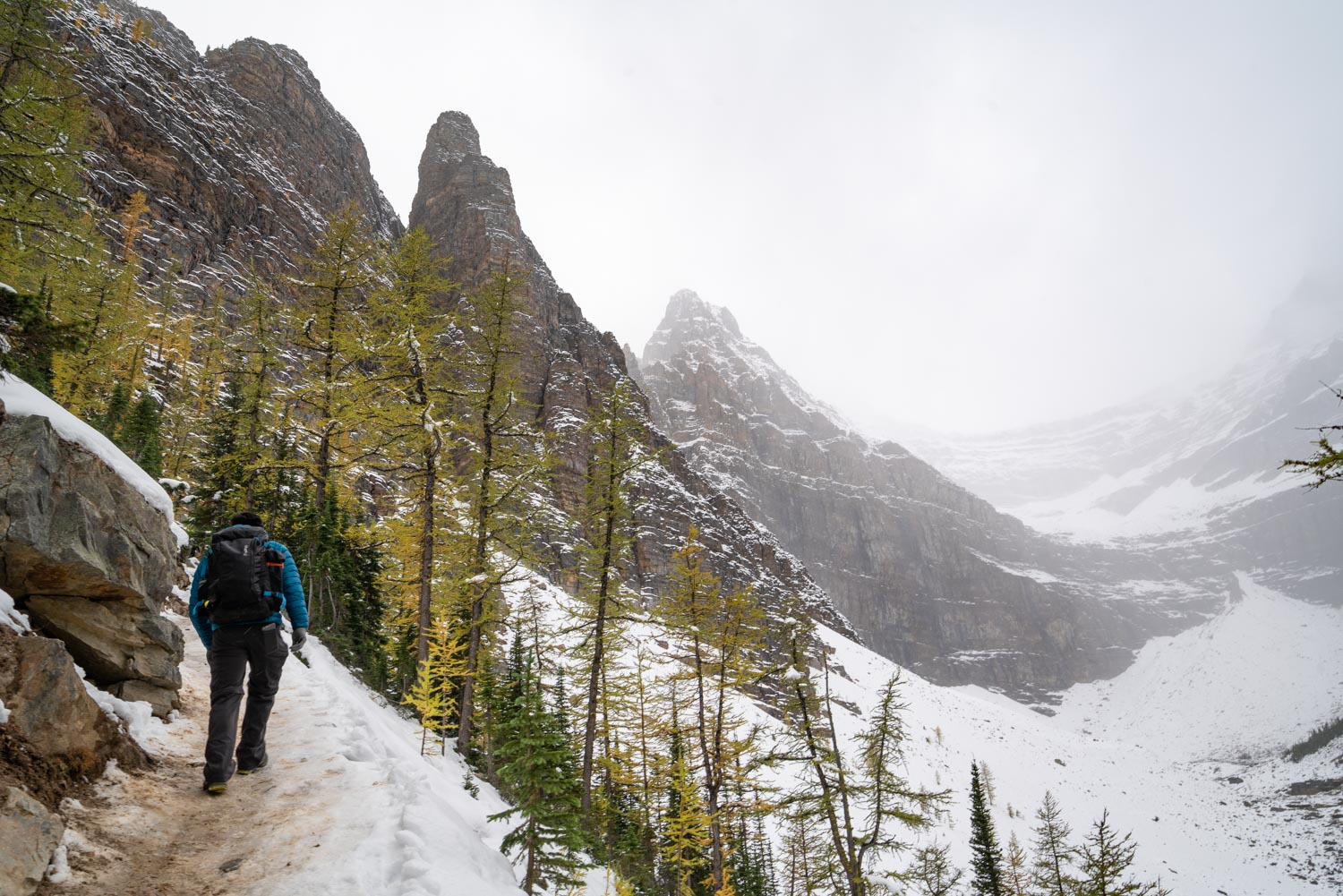 Hiking to Big Beehive from Lake Agnes