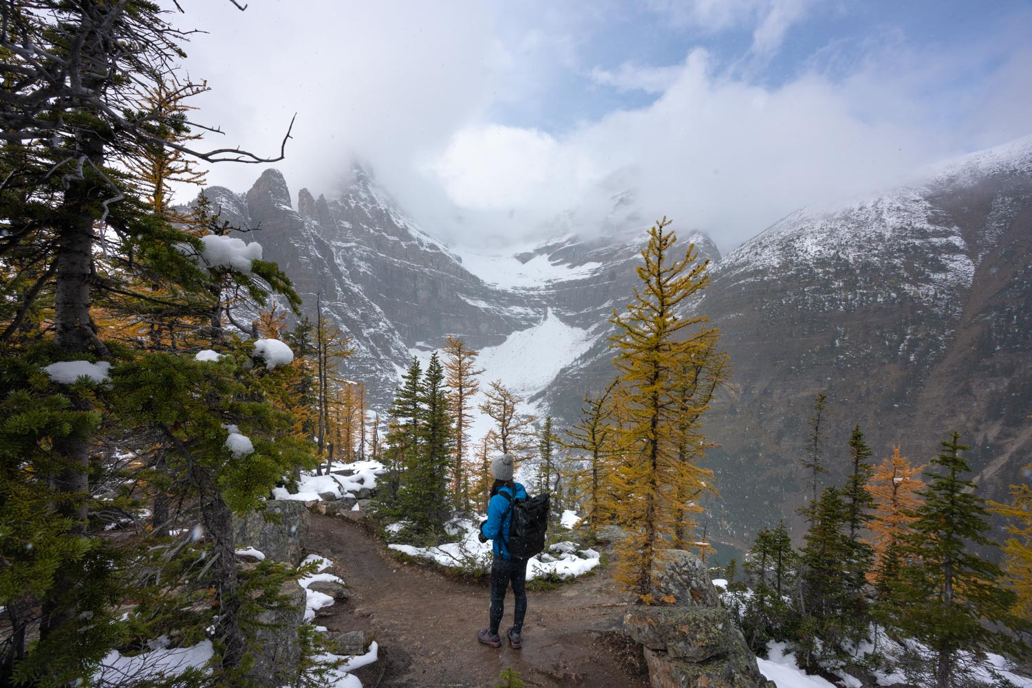 Best larch hikes in Banff September