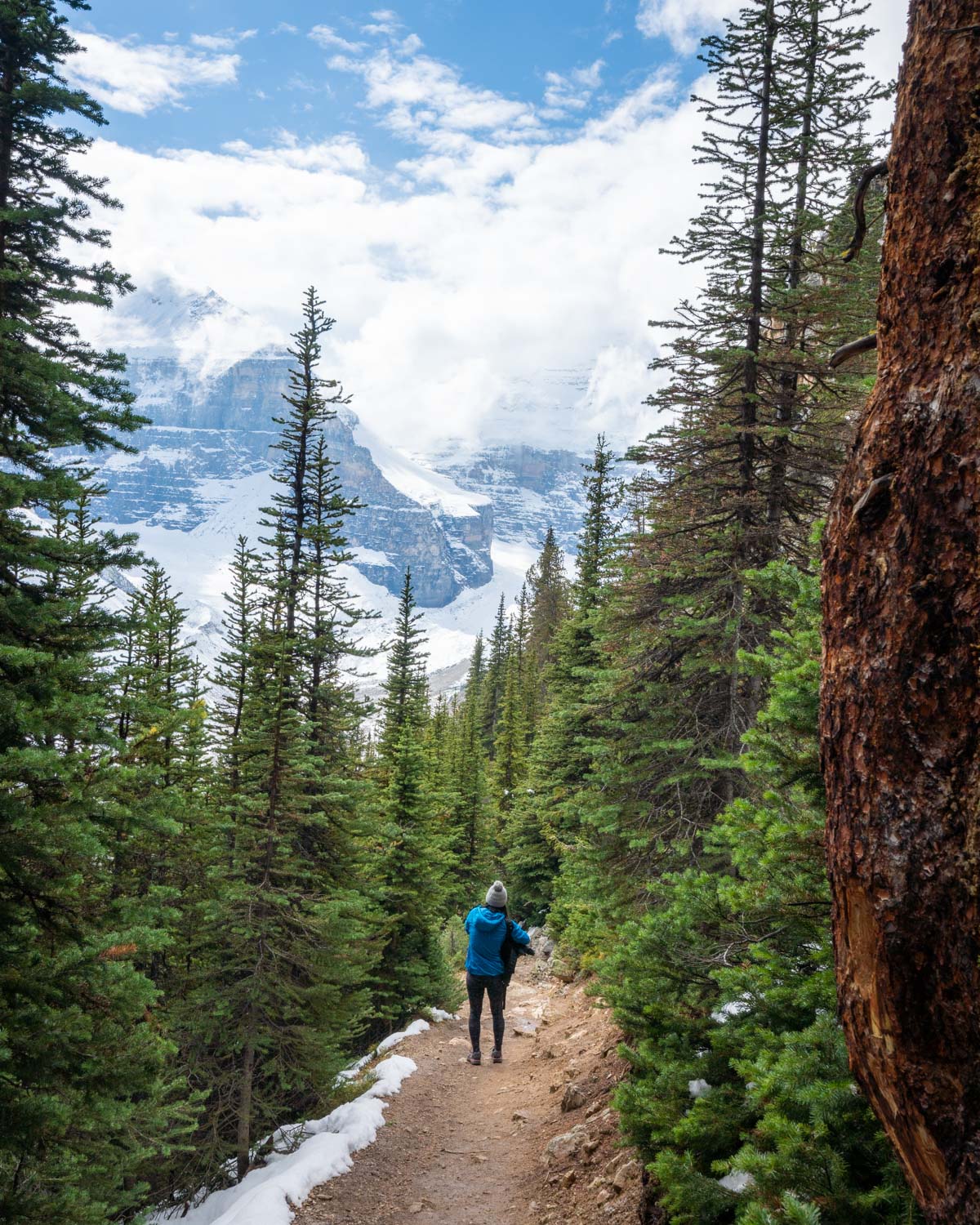 Best hikes in Banff National Park