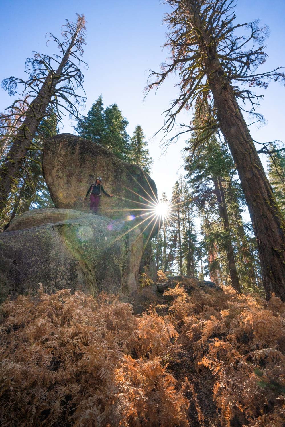 taft-point-fissures-yosemite-hike-09097.jpg