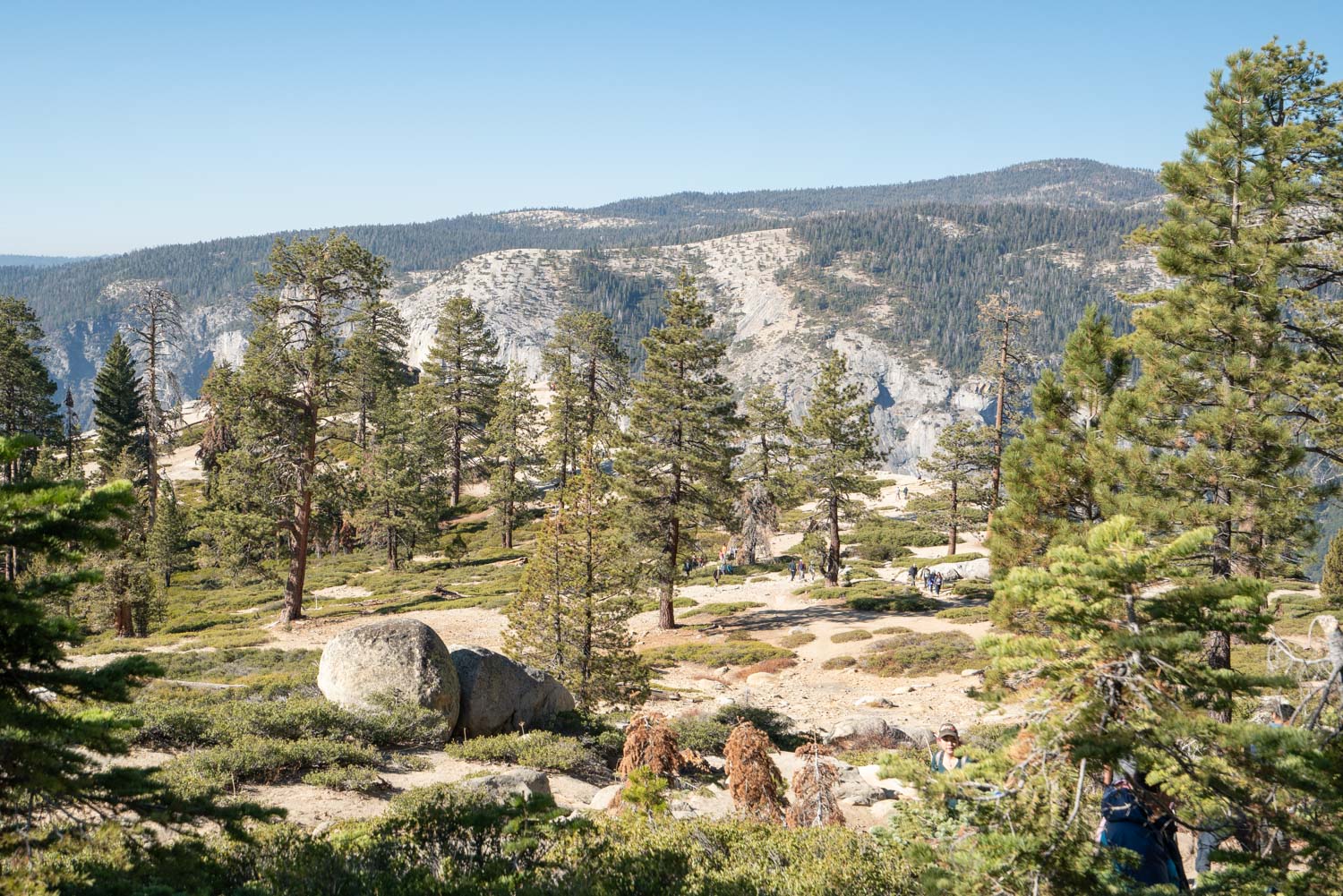 taft-point-fissures-yosemite-hike-305594.jpg