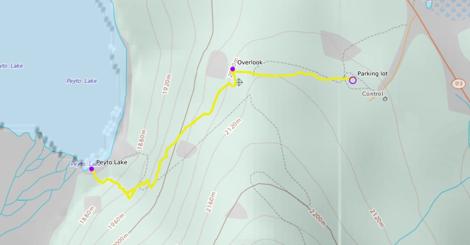peyto-lake-hike-map.jpg