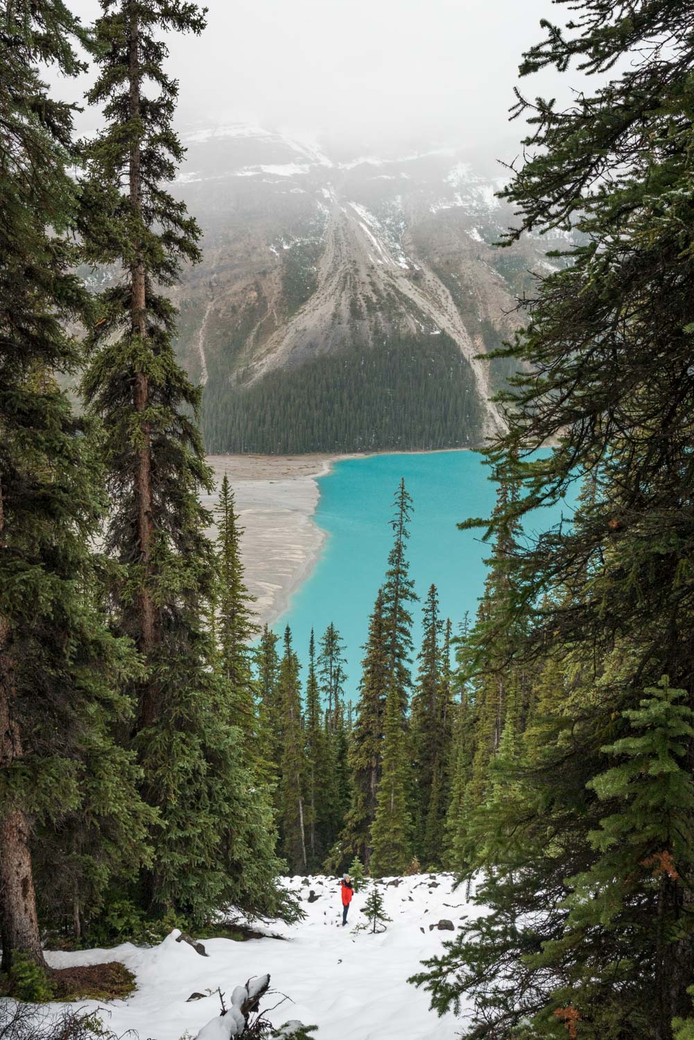 short day hikes in banff national park