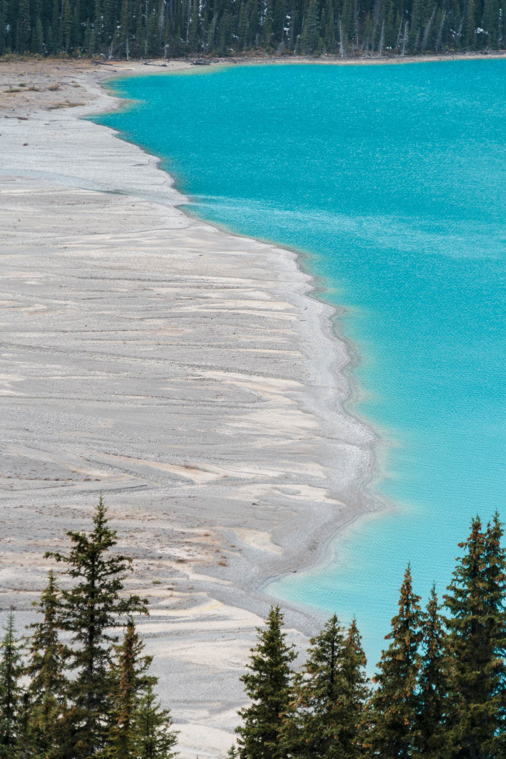 hiking to peyto glacier alberta canada