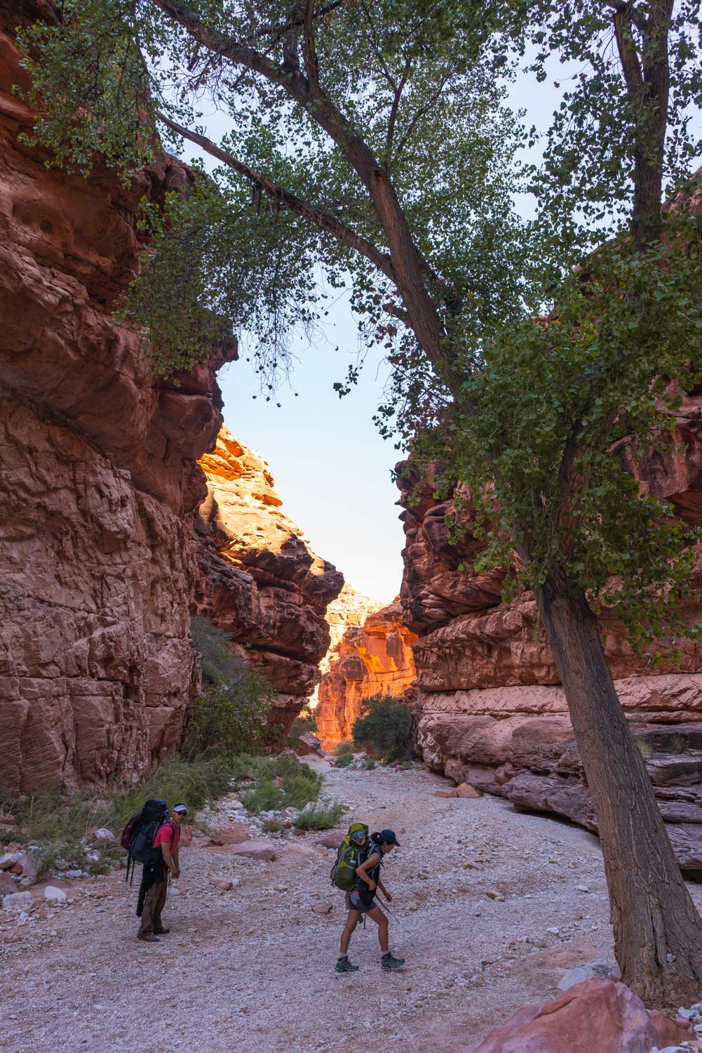 backpacking-havasu-falls-304391.jpg