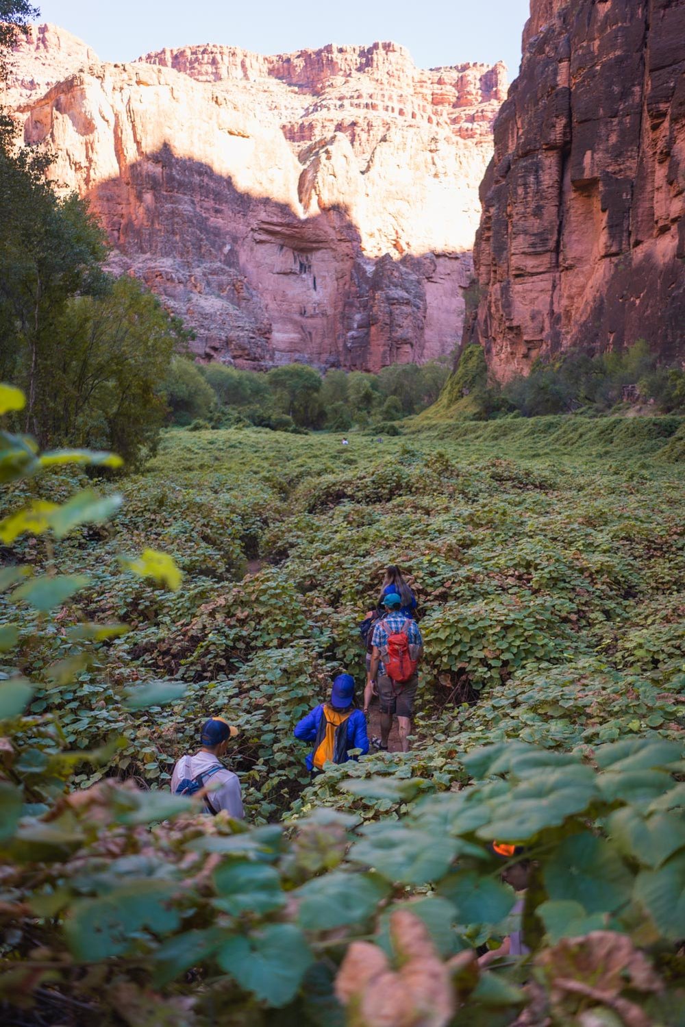 hiking to beaver falls from supai