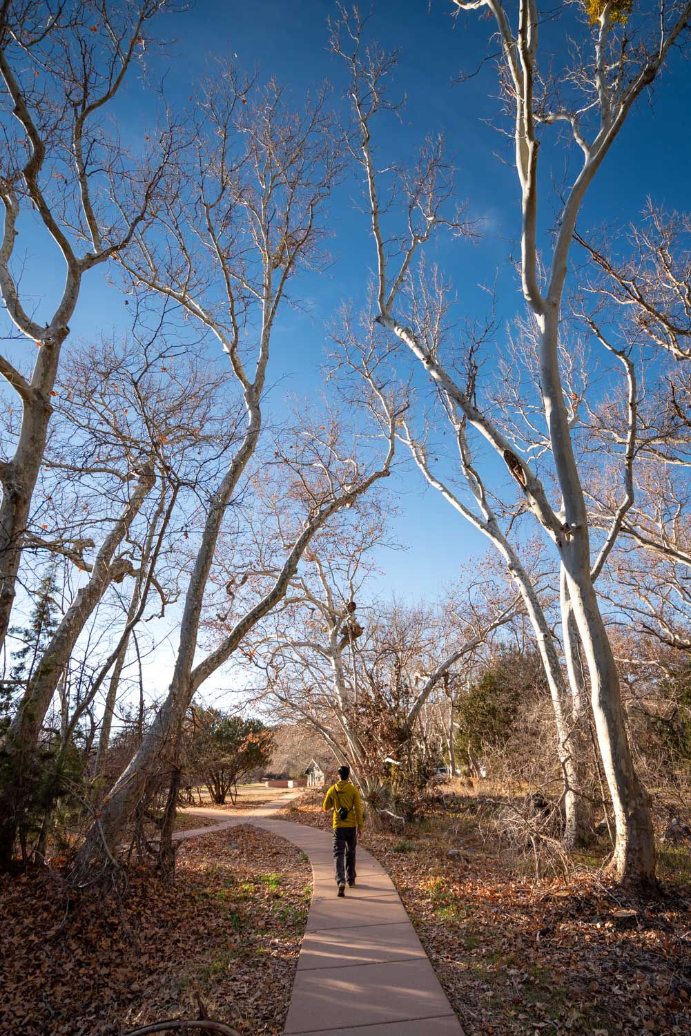 Crescent moon picnic area in Sedona, AZ