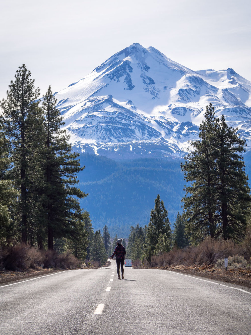 Mt. Shasta