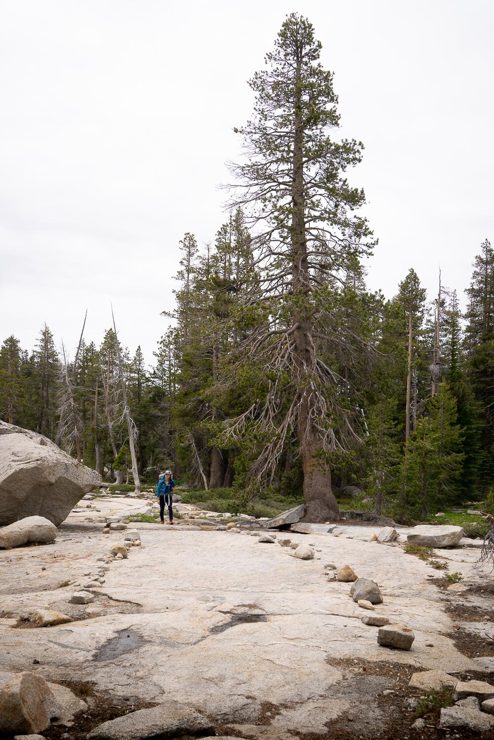 Easy backpacking trips in California