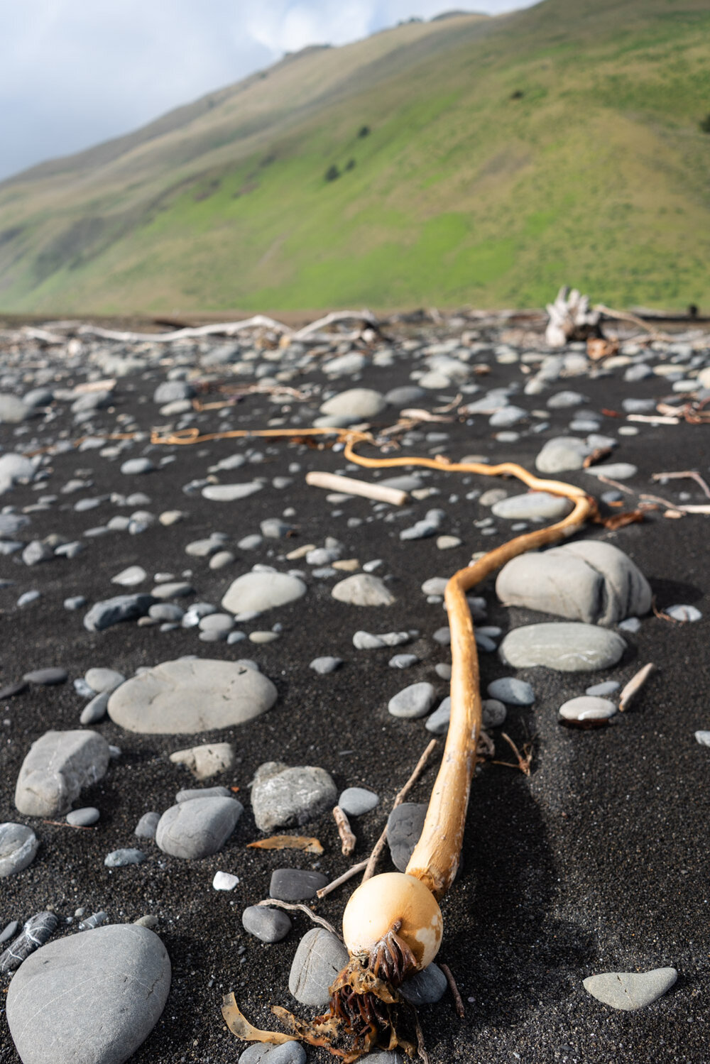 Hiking the Lost Coast Trail in Northern California