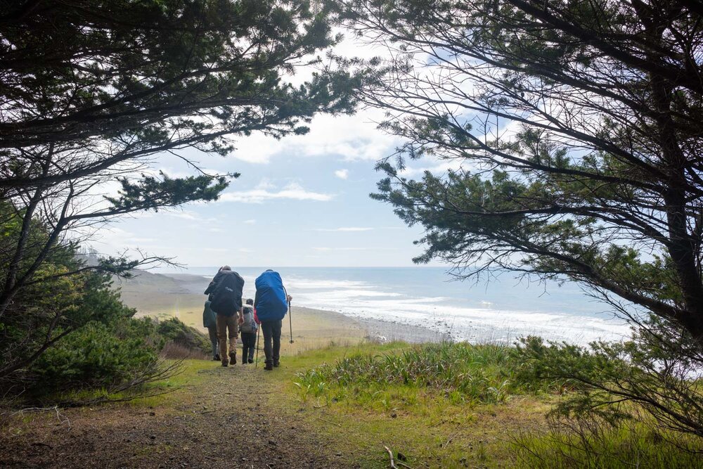 Hiking views on the Lost Coast in the King Range