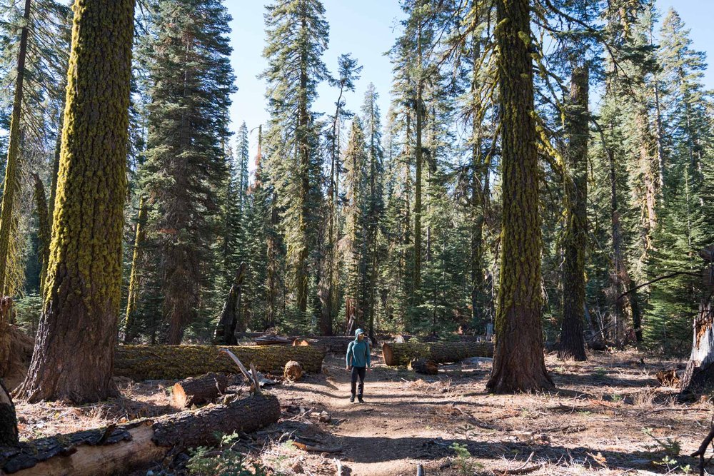 Best backpacking hikes in Yosemite