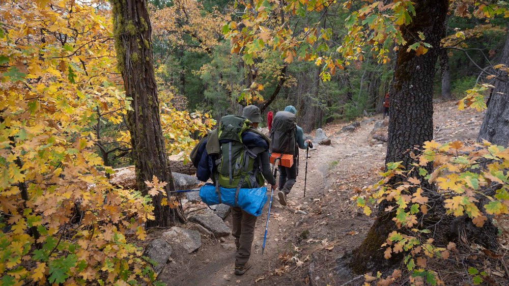 backpacking-pohono-trail-32604.jpg