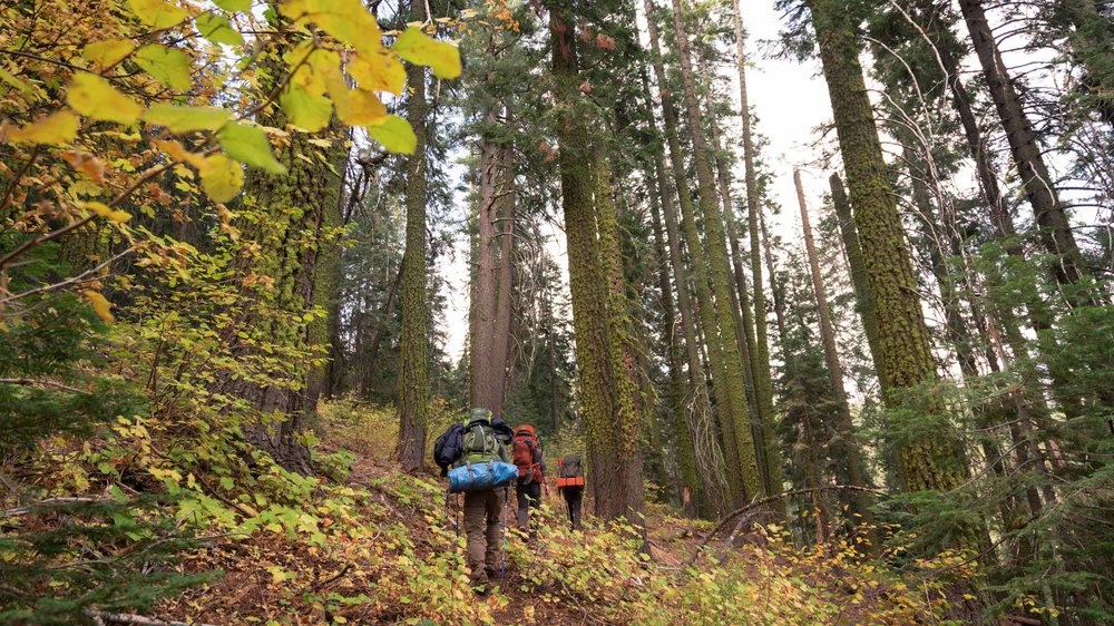 backpacking-pohono-trail-32567.jpg