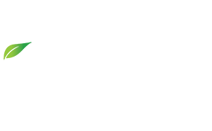 Andy's Lawn and Landscape