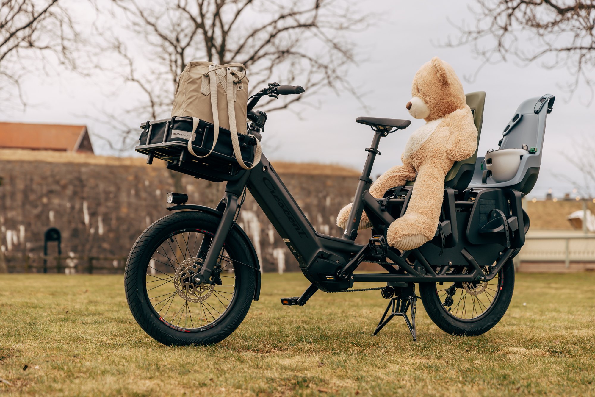 YEC515__31##crescent_Elast_teddybear.jpg