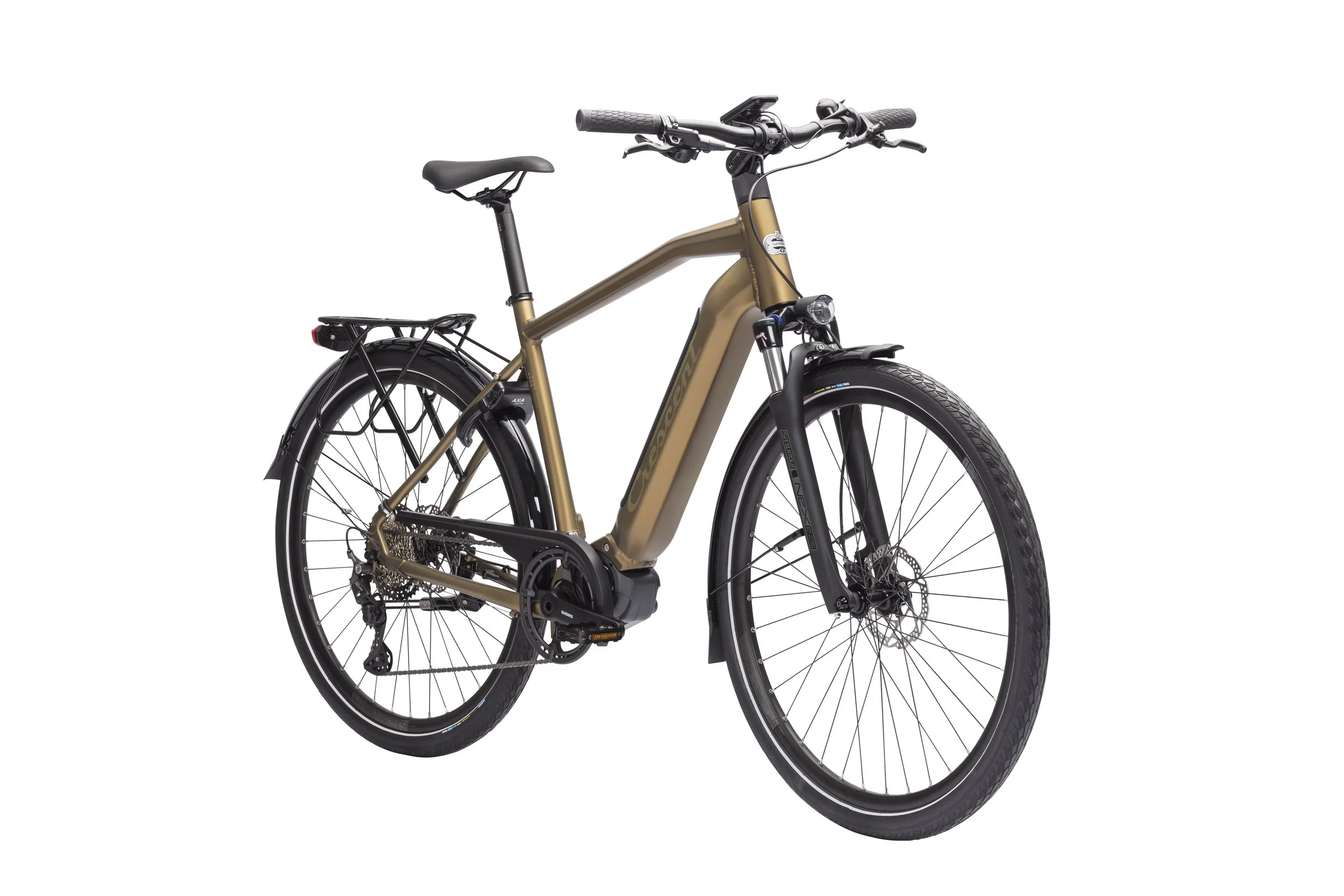 YEC700__21##Crescent Elder 20 Forest brown B.jpg