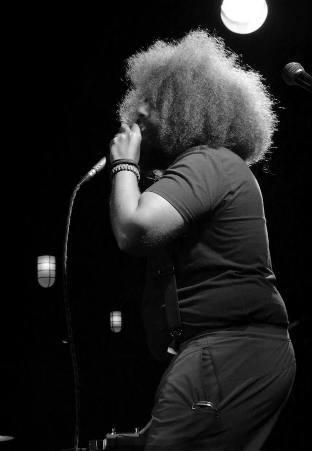 Reggie Watts