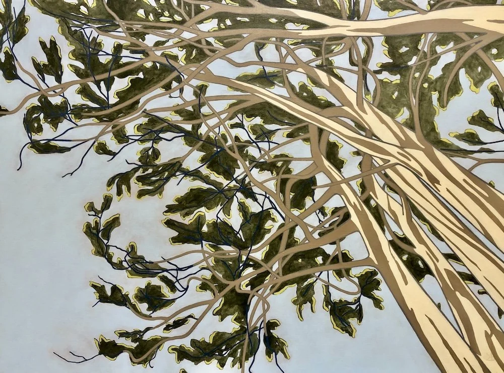 Eucalyptus, acrylic on linen, 26X48 inches (SOLD)