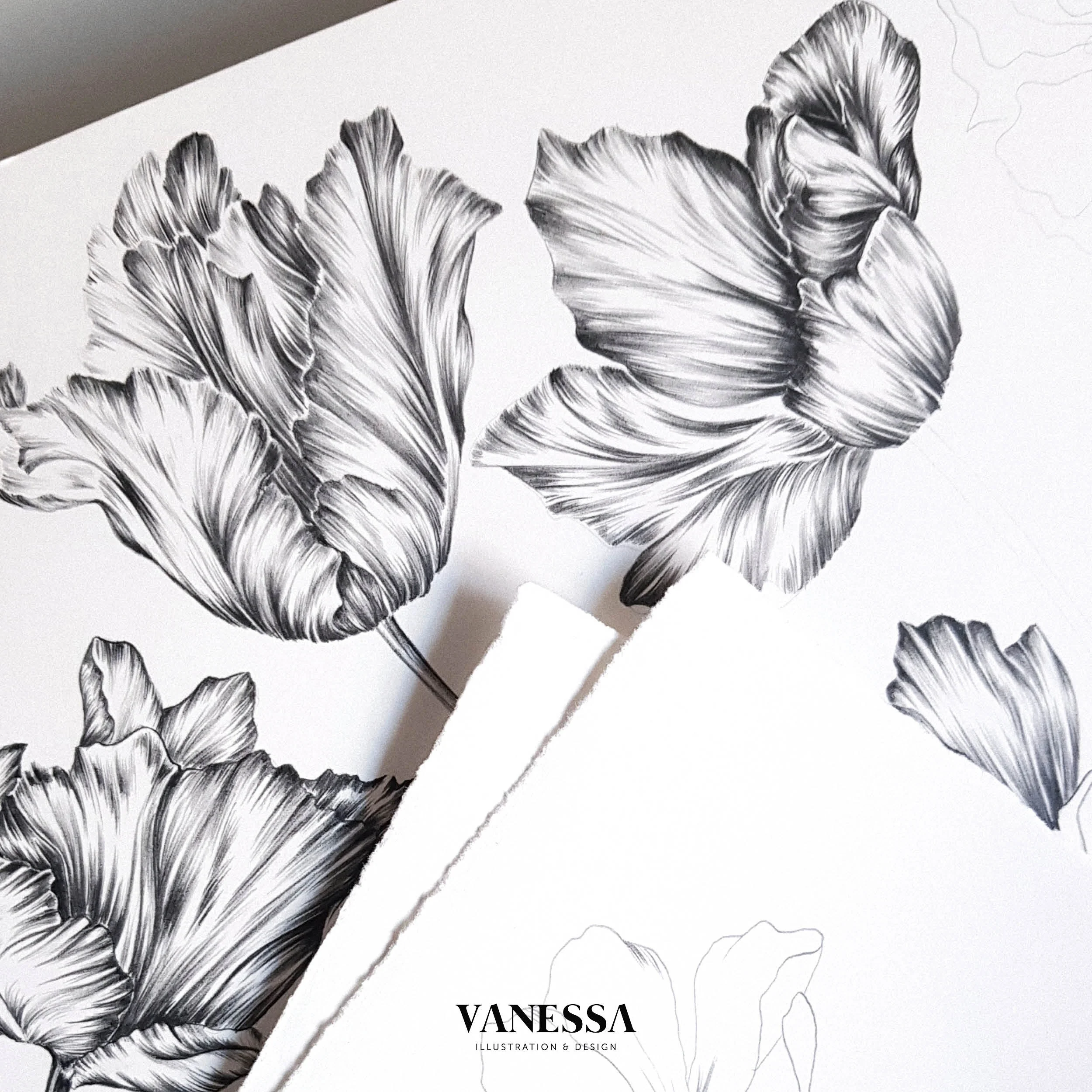 Vanessa Vanderhaven Illustration and Design20.jpg