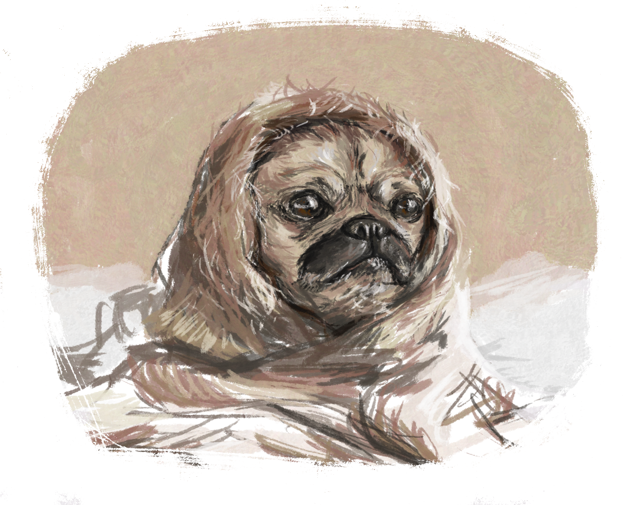 1pug.png