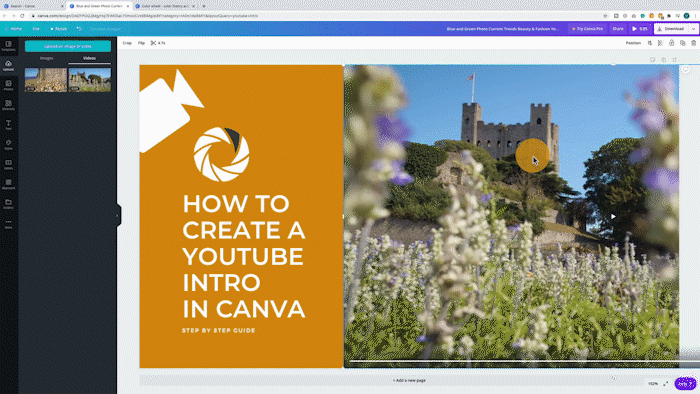 How to Make a GIF in Canva? [Step by Step Guide To Create Gif in Canva]