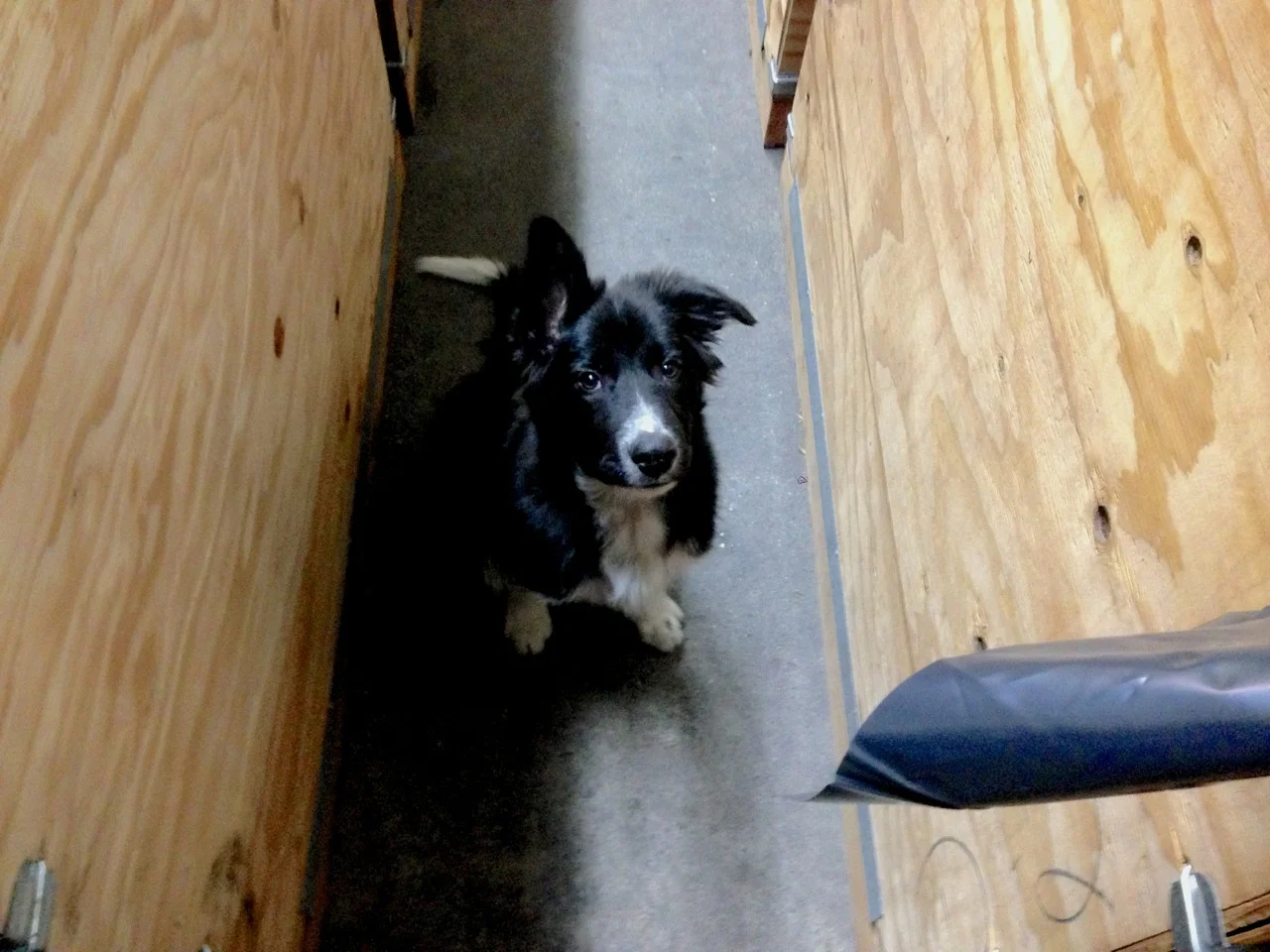 serge between bins.jpg