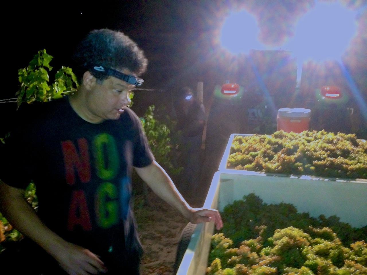 night pick sort.jpg