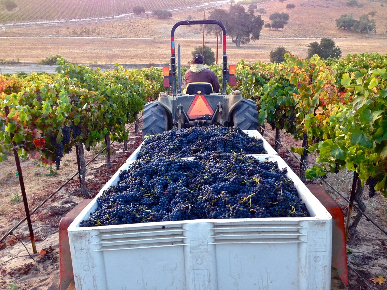white hawk bins on a tractor.jpg