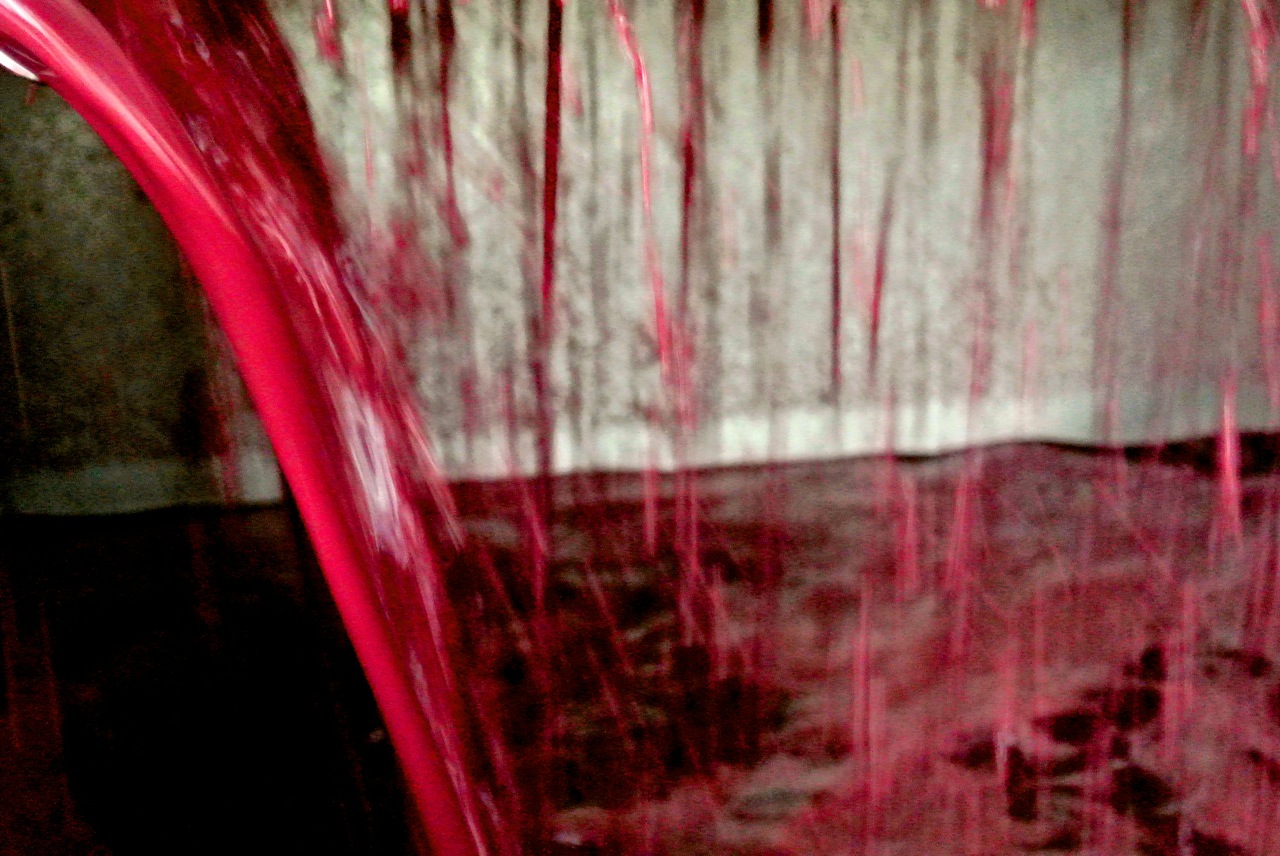 pressing red wine waterfasll.jpg