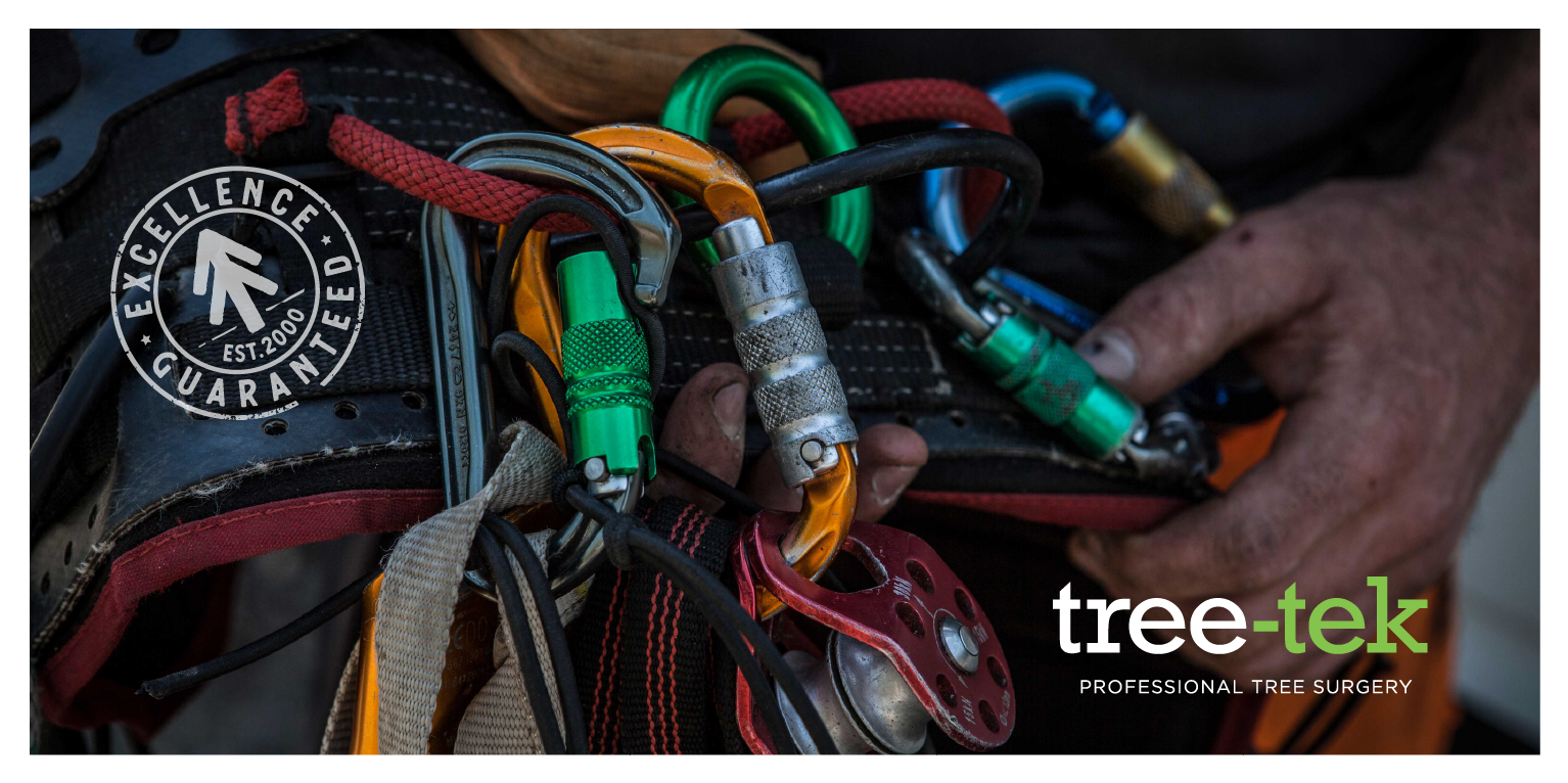 LMPP Tree Tek.png