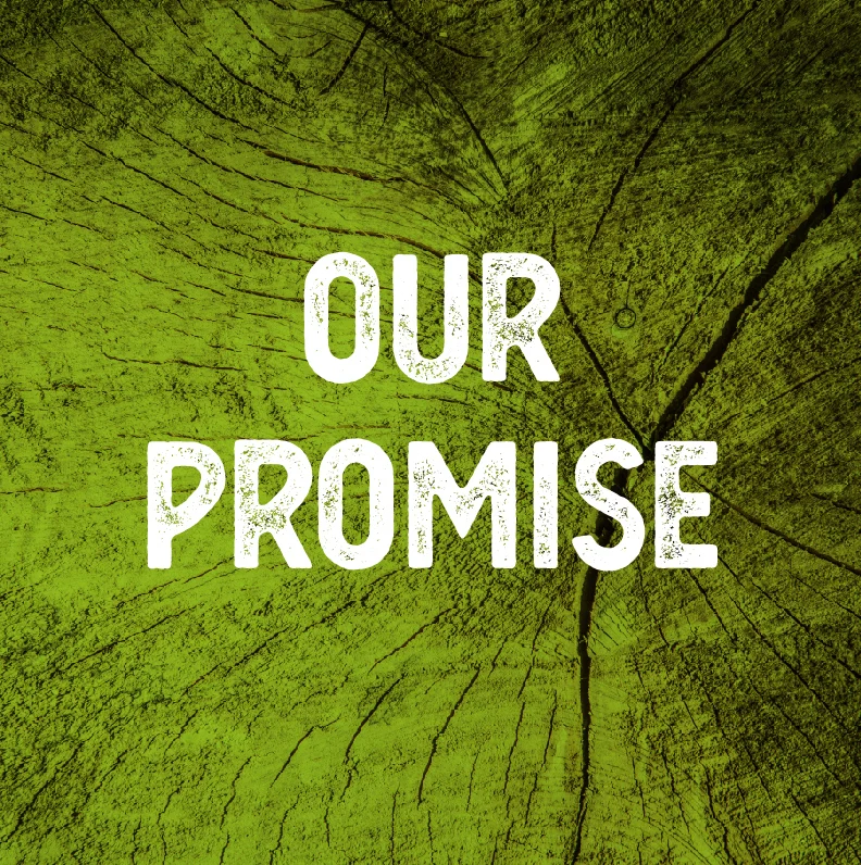 Tree Tek promise-100.jpg