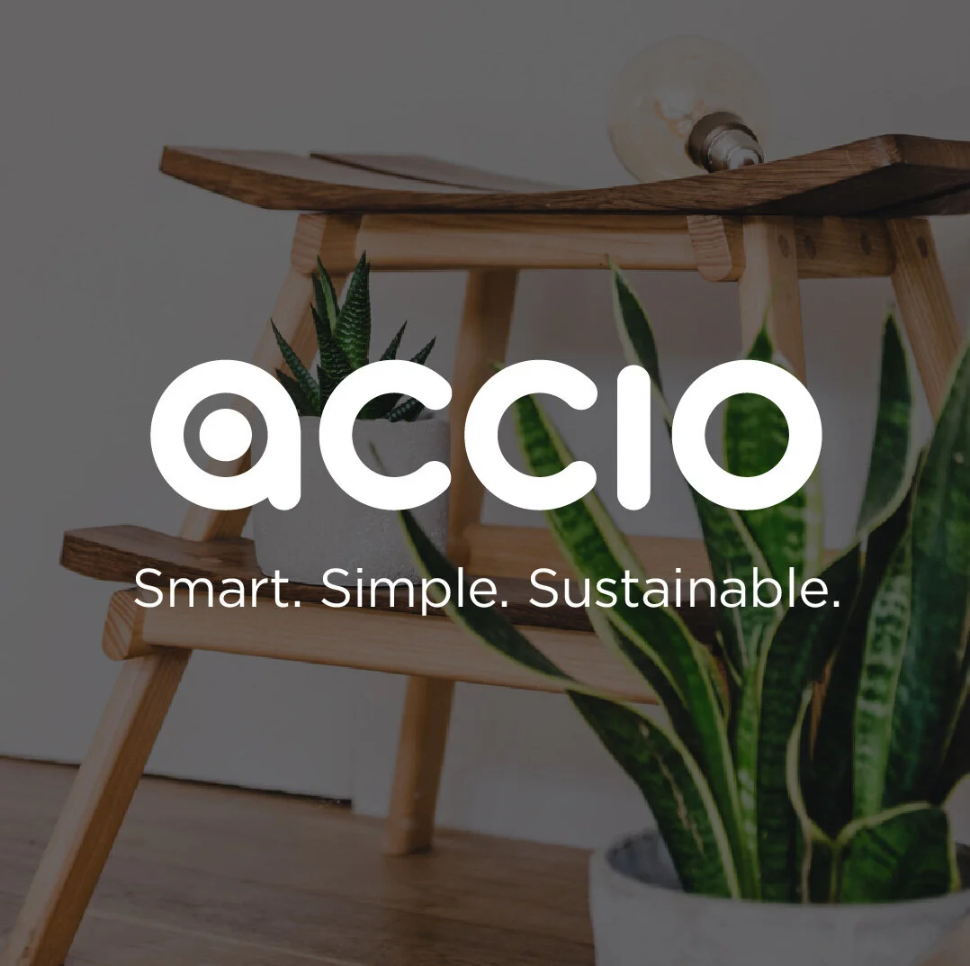LMPP Accio Web design copy 2.jpg