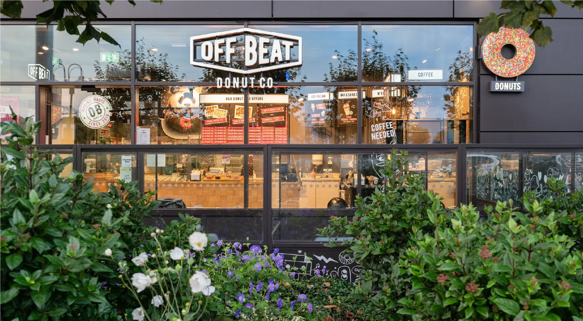 Offbeat Donut Co.