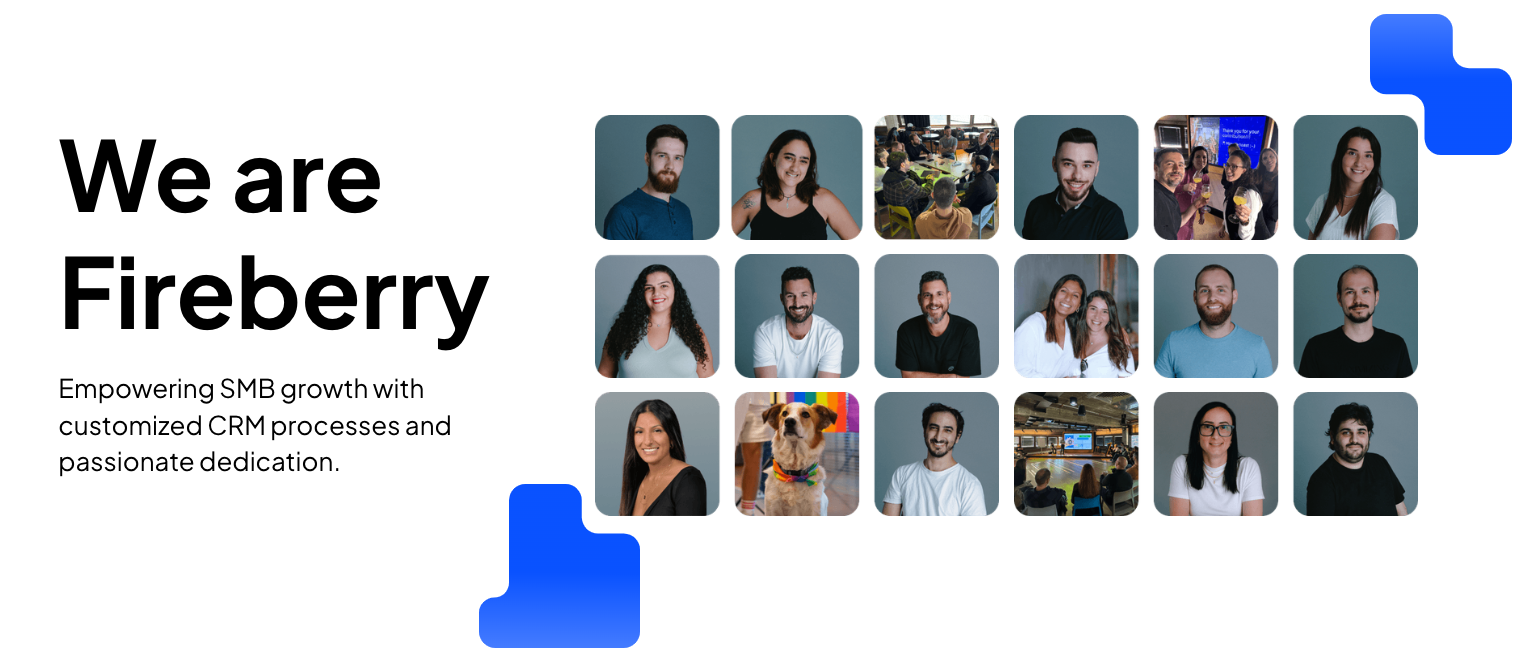 Fireberry CRM Platform Team. Branding by LMPP Studio