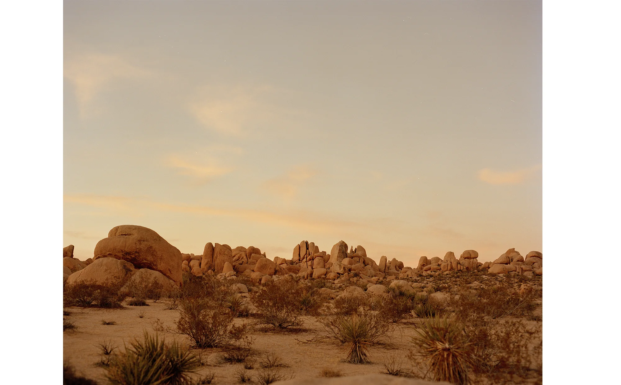 desert_02.jpg