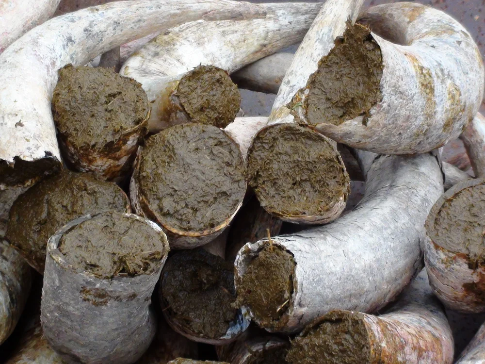 Biodynamic+Wine (1000×750)