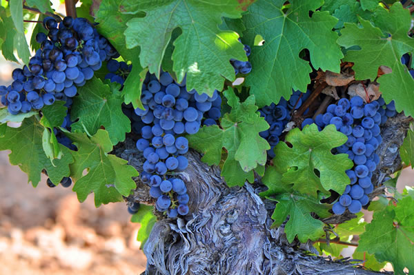 It is easy to forget that a perfect wine and dine experience starts here...