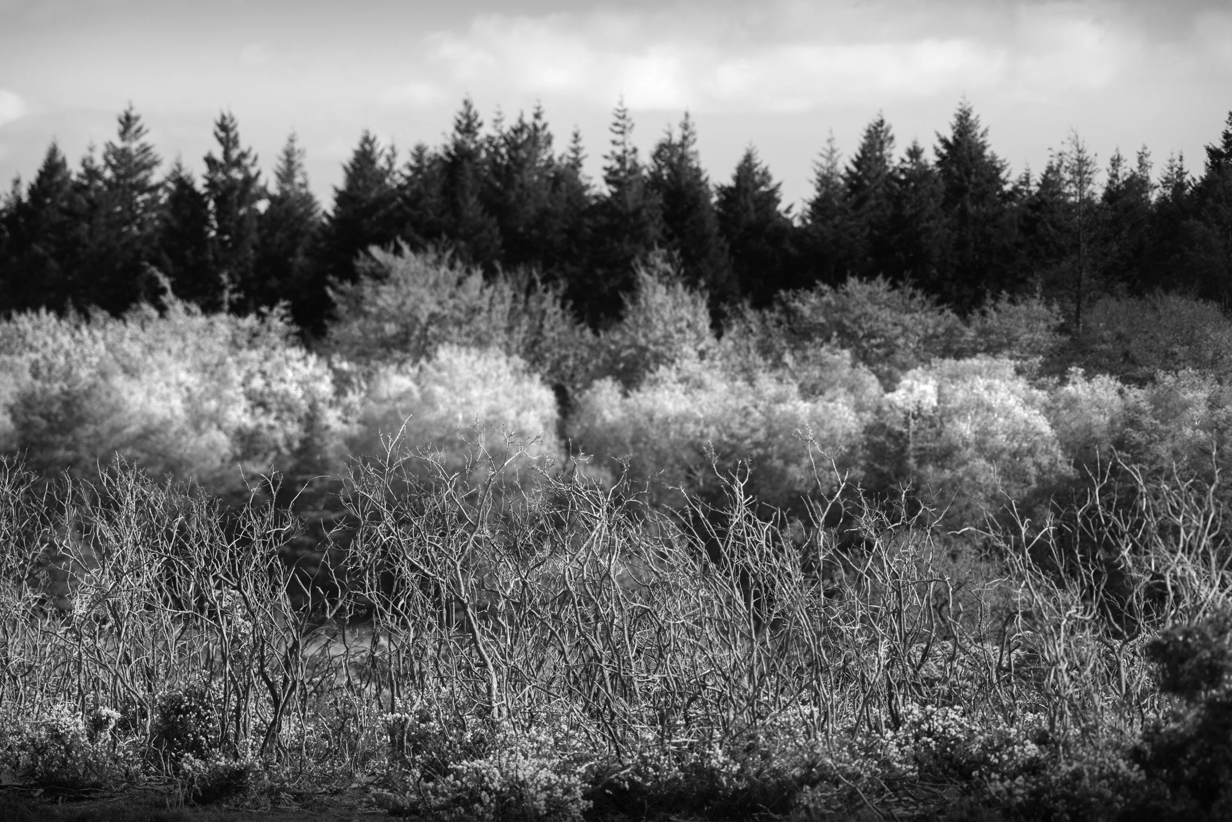 S1010369.jpg