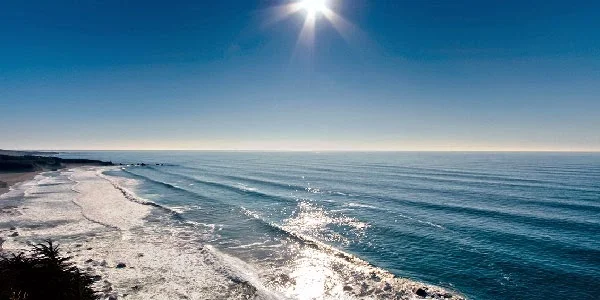 Growth in the blue bio-economy