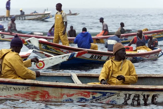 EU ska ta ansvar för fisket vid Afrikas kust