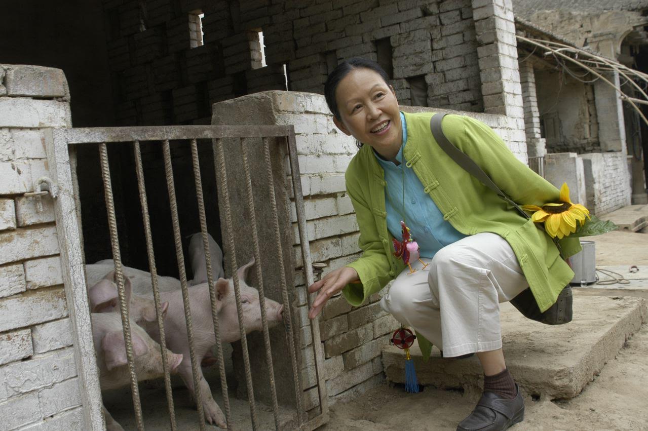 Mei Ng, rådgivare åt stadsledningen i Hong Kong och aktiv i kinesiska Jordens vänner